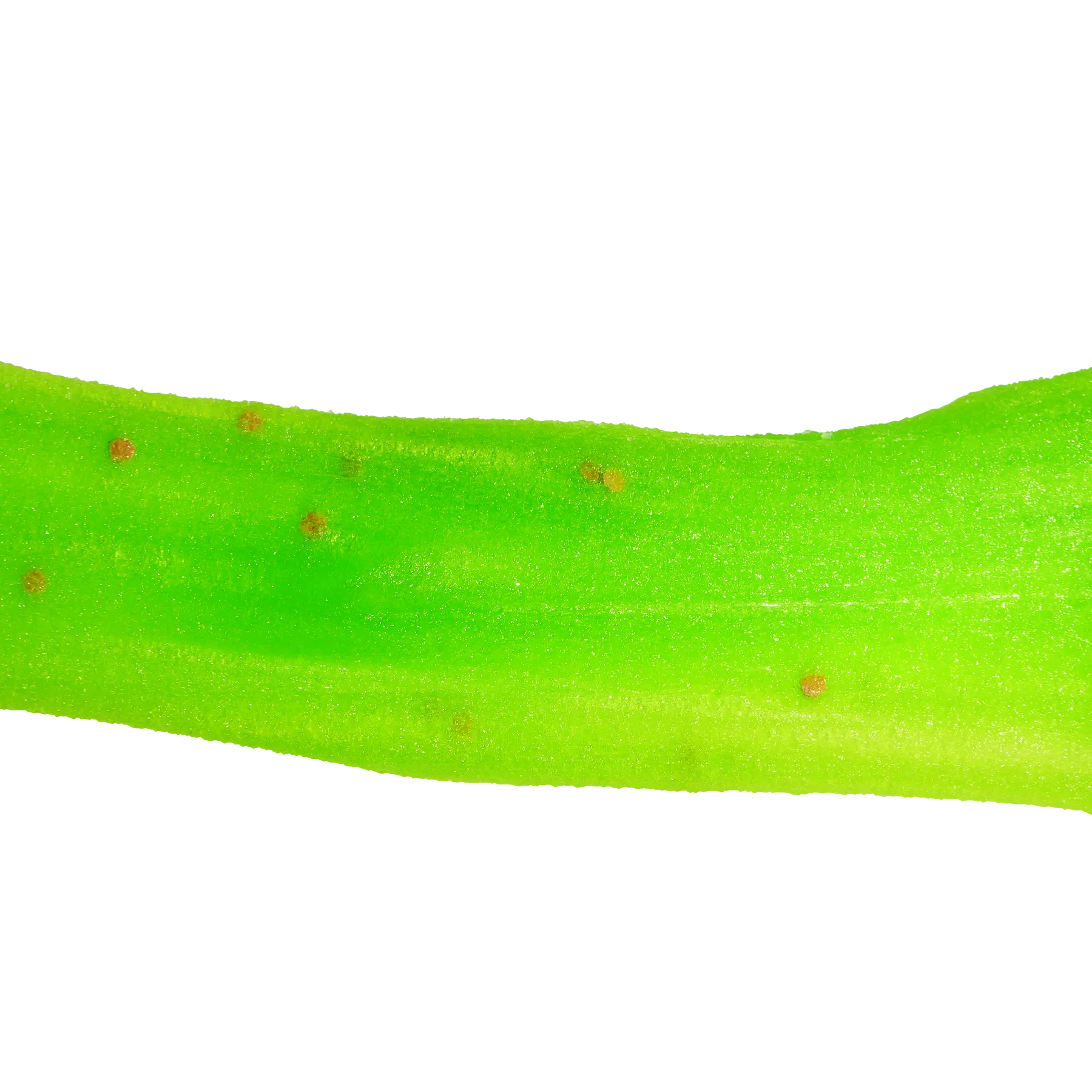 Alien Axolotl Jelly - Image 3